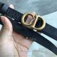 Perfect Replica CD Saddle Nylon Belt  (6)_th.jpg